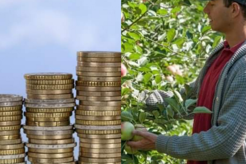 Kwota premii dla młodych rolników pozostanie bez zmian