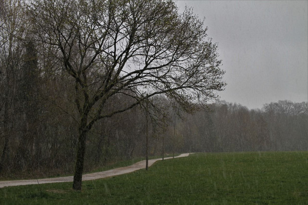 W niedzielę prognozowane są opady deszczu, deszczu ze śniegiem i śniegu/ fot. pixabay IMGW: w niedzielę śnieg i deszcz ze śniegiem