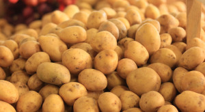 Dynamiczny wzrost cen skupu ziemniaków. Powodem niska dostępność