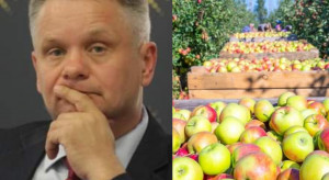 Maliszewski o zbiorach 2021: Klęska urodzaju nam nie grozi