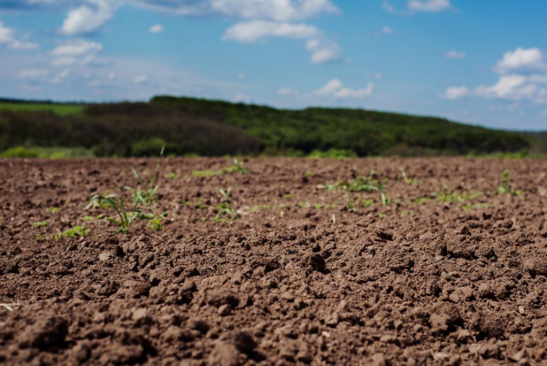 Temat ochrony bioróżnorodności gleby jest bardzo aktualny – zbliża się powoli nowy sezon wegetacyjny/ fot. shutterstock Ochrona bioróżnorodności gleby - temat ciągle aktualny