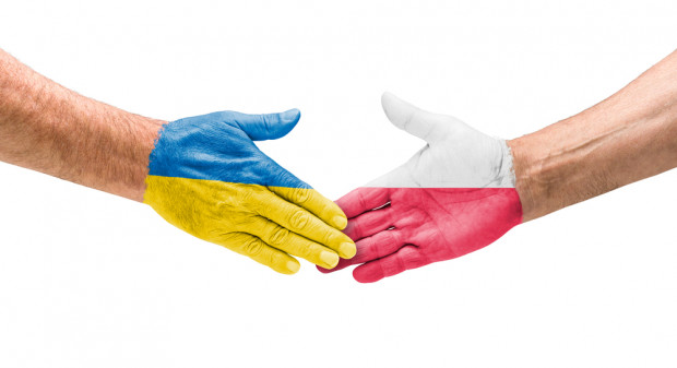 Podpisana została wspólna deklaracja dotycząca współpracy w dziedzinie rolnictwa/fot. shutterstock.com MRiRW podpisało z Ukrainą deklarację współpracy w rolnictwie