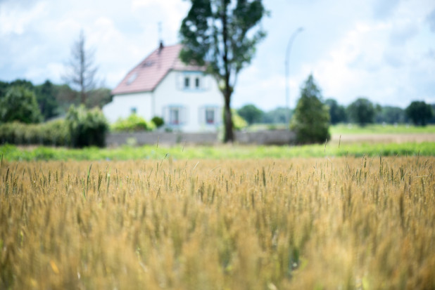 KRIR sprzeciwia się łatwemu odrolnieniu gruntów/fot. shutterstock.com KRIR sprzeciwia się łatwemu odrolnieniu gruntów