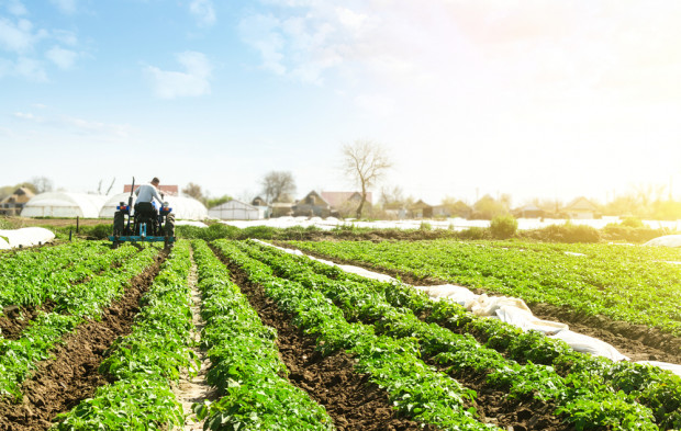 CopaCogeca: producenci ekologiczni muszą mieć dostęp do skutecznych śor/ fot. shutterstock.com CopaCogeca: producenci ekologiczni muszą mieć dostęp do skutecznych śor