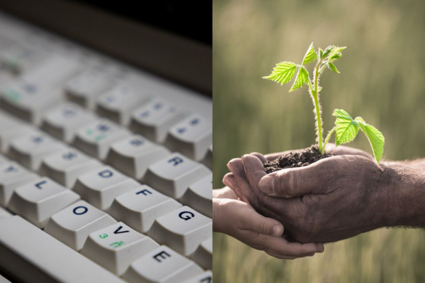 Wnioski o przyznanie dopłat bezpośrednich i obszarowych z PROW można złożyć tylko w formie elektronicznej; fot. unsplash.com / shutterstock Dopłaty tylko online. Nie można już składać oświadczeń o braku zmian