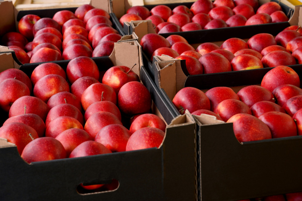 Rosja: import jabłek w styczniu niższy o 1/3