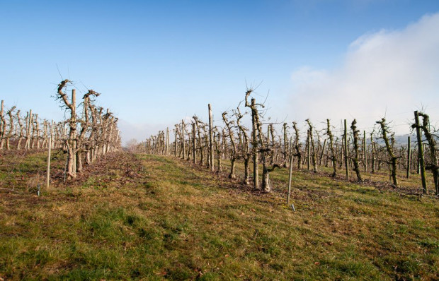 Cieplej zrobi się dopiero pod koniec tygodnia/ fot. shutterstock IMGW: Cieplej pod koniec tygodnia; nawet do 18 st. C