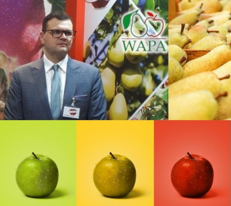 Dominik Woźniak został nowym prezesem stowarzyszenia WAPA/ fot. za Rajpol; shutterstock Dominik Woźniak nowym prezesem międzynarodowego stowarzyszenia WAPA