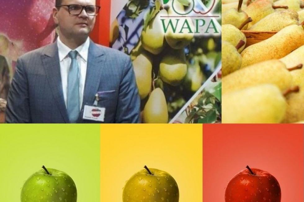Dominik Woźniak nowym prezesem międzynarodowego stowarzyszenia WAPA