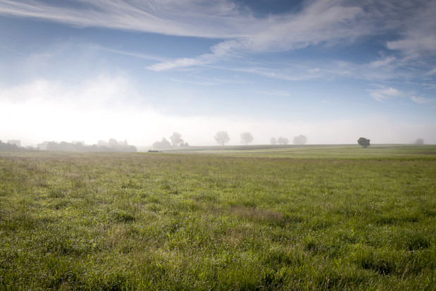 MRiRW: Zmiany prawne w odrolnieniu gruntów byłby szkodliwe/fot. shutterstock.com MRiRW: Zmiany prawne w odrolnieniu gruntów byłby szkodliwe