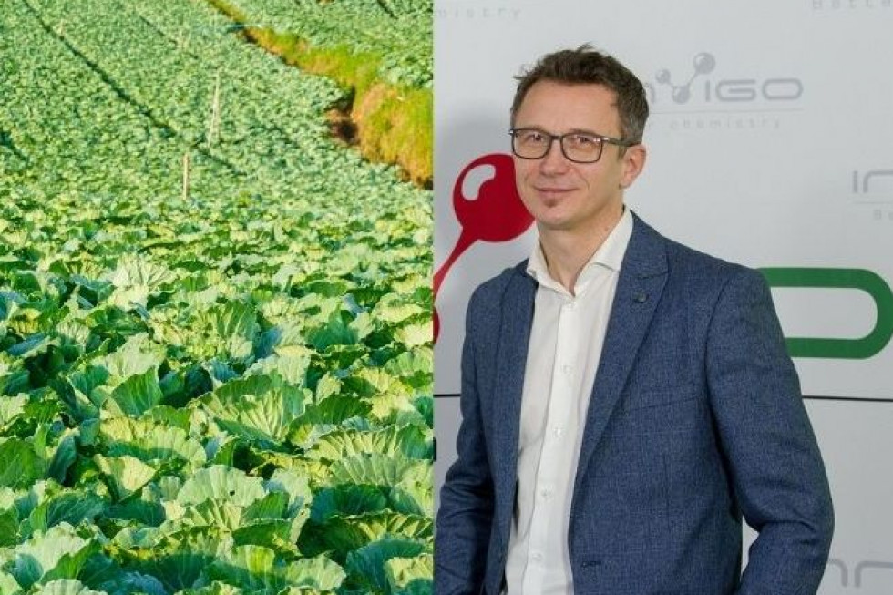 Innvigo rozbudowuje zespół przedstawicieli terenowych/ fot. materiały prasowe; shutterstock Innvigo stawia na profesjonalne doradztwo
