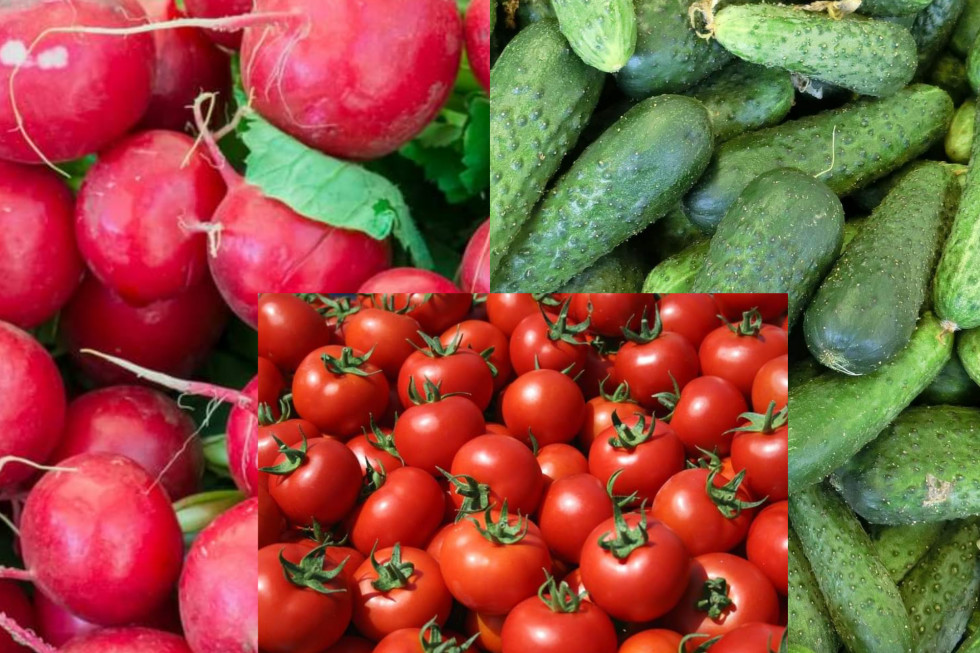 Bronisze: spadają ceny krajowych ogórków, pomidorów i rzodkiewki