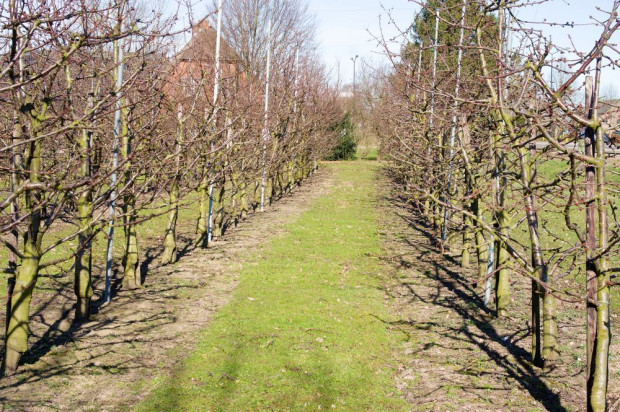 Nastąpi poprawa pogody, będzie cieplej i słoneczniej. fot. shutterstock IMGW: w piątek poprawa pogody, będzie cieplej