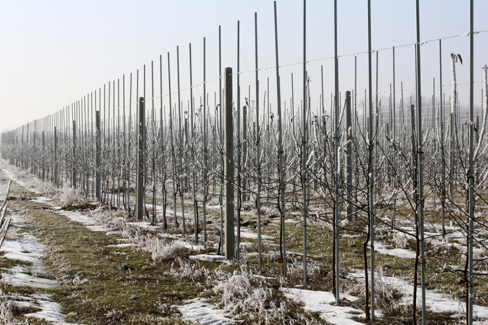 Tydzień zacznie się nadejściem frontu z zachodu, który przyniesie ochłodzenie, zachmurzenie, deszcz i śnieg. /fot. shutterstock.com W tym tygodniu załamanie pogody- deszcz, śnieg i nocne przymrozki