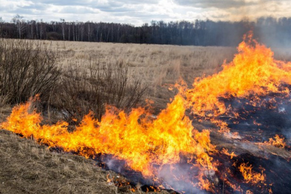 Przez weekend ponad 1,5 tysiąca pożarów traw; najwięcej na Mazowszu