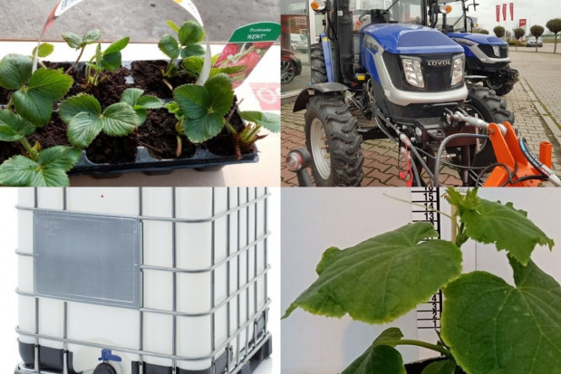 Zakupy środków do produkcji, sadzonek można wykonać na Giełdzie Rolnej/ fot. materiały redakcji Sadzonki i środki produkcji – wiosenne zakupy na Gieldarolna.pl
