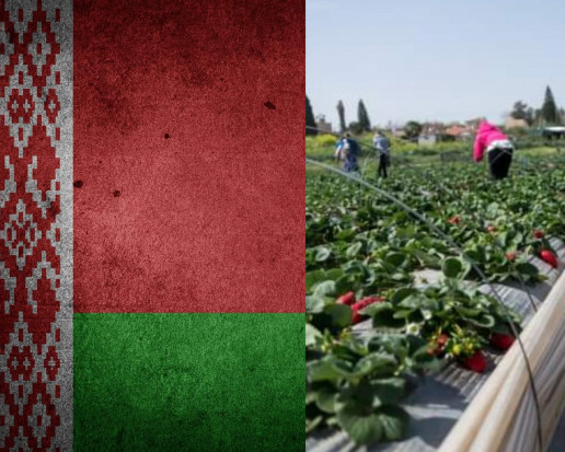 Liczba obywateli Białorusi posiadających ważne zezwolenia na pobyt w Polsce przekroczyła 30 tys./fot. shutterstock.com Wzrasta liczba Białorusinów w Polsce, najwięcej w woj. mazowieckim