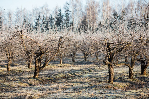 We wtorek wraca zima/ fot. shutterstock IMGW: Od wtorku powrót zimy