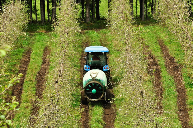 Traktorzysta wśród najbardziej poszukiwanych zawodów na Ukrainie/ fot. pixabay Traktorzyści poszukiwani na Ukrainie