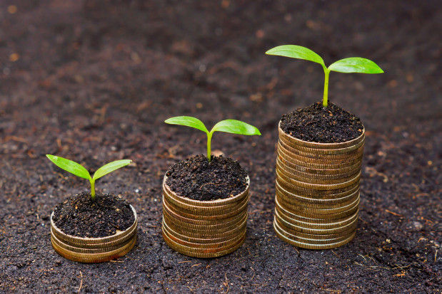 Sytuacja ekonomiczna polskich producentów i rolników powoduje często brak płynności finansowej./fot. shutterstock.com Sytuacja finansowa producentów jest trudna. MRiRW uruchomi kredyty preferencyjne?