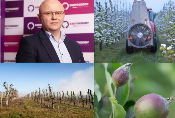 BASF rusza z projektem Agrobalans/ fot. shutterstock, pixabay/ materiały własne Projekt Agrobalans - jak spełnić założenia Zielonego Ładu w sadzie?