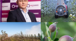 Projekt Agrobalans - jak spełnić założenia Zielonego Ładu w sadzie?