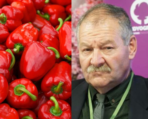 Niskie temperatury uderzają także w producentów papryki/fot.sadyogrody.pl Mirosław Łuska: Niskie temperatury uderzają w producentów papryki
