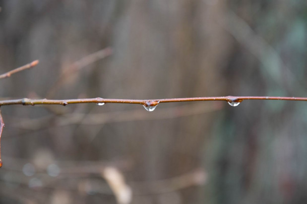 Opady deszczu i chłód niemal w całym kraju/ fot. pixabay Pogoda: Opady deszczu i chłód niemal w całym kraju