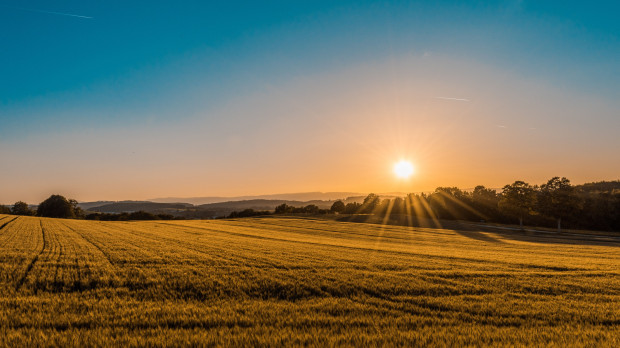 Komisja rolnictwa rozpatrzy ustawę o sprzedaży państwowej ziemi; fot. unsplash.com Działki do 5 h wyłączone z zakazu sprzedaży państwowej ziemi?