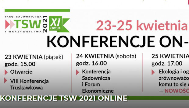 Organizatorzy TSW 2021 zapraszają do udziału w konferencjach online/ materiały prasowe Konferencje TSW 2021 odbędą się online