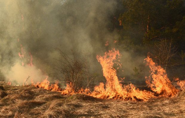 Wypalanie traw jedną z przyczyn pożarów w Polsce
