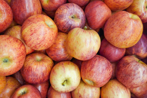 Gala Schnico po 3,99 zł/kg w Lidlu; fot. shutterstock.com Polskie jabłka Gala Schnico po 3,99 zł/kg w Lidlu