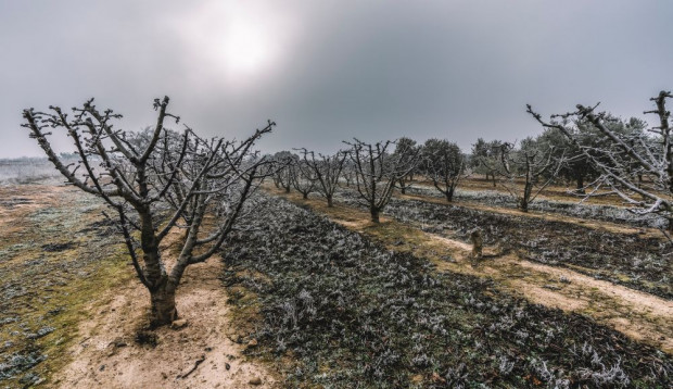 Do kraju napłynie naprawdę zimne, arktyczne powietrze/ FOT. shutterstock IMGW: zbliża się kolejne załamanie pogody