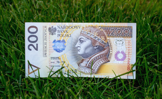 Wnioski o dopłaty bezpośrednie złożyło do 20 kwietnia ok. 300 tys. rolników/ fot. shutterstock ARiMR: 300 tys. rolników złożyło wnioski o dopłaty bezpośrednie