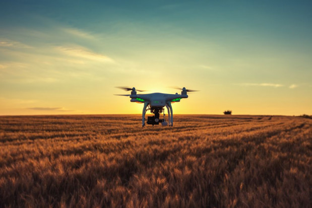 Spółka Dronehub, specjalizuje się w dostarczaniu rozwiązań dronowych do monitoringu rolnictwie precyzyjnym/ fot. shutterstock Polska spółka Dronehub została oficjalnym partnerem IBM