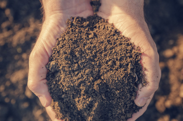 Badania gleby i określanie niedoborów składników odżywczych
