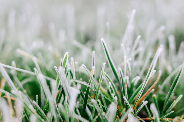 IMGW ostrzega o kolejnej nocy pod znakiem przymrozków; fot. unsplash.com IMGW o pogodzie w nocy: temperatury poniżej zera w całym kraju