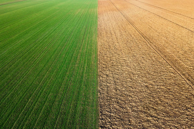 30 kwietnia wchodzą przepisy przedłużające sprzedaż państwowej ziemi/ fot. shutterstock 30 kwietnia wchodzą przepisy przedłużające sprzedaż państwowej ziemi