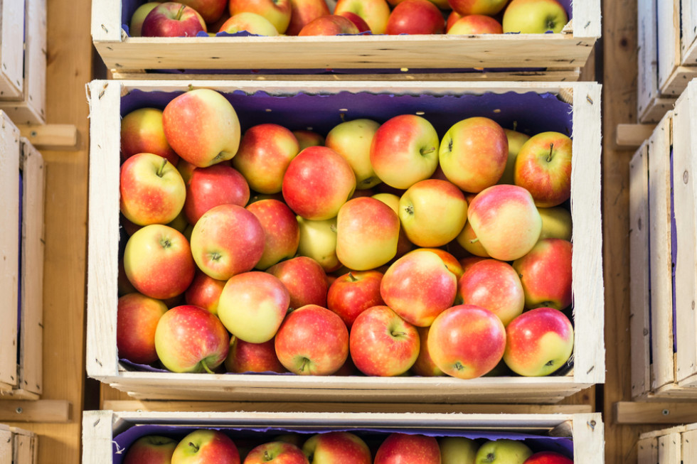 Jabłka na sortowanie: popyt jest słaby, ale ceny pozostają stabilne
