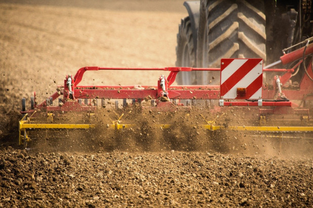 Trwają prace nad planem strategicznym dla wspólnej polityki rolnej/ fot. pixabay Polskie rolnictwo może stracić konkurencyjność w UE? (wideo)