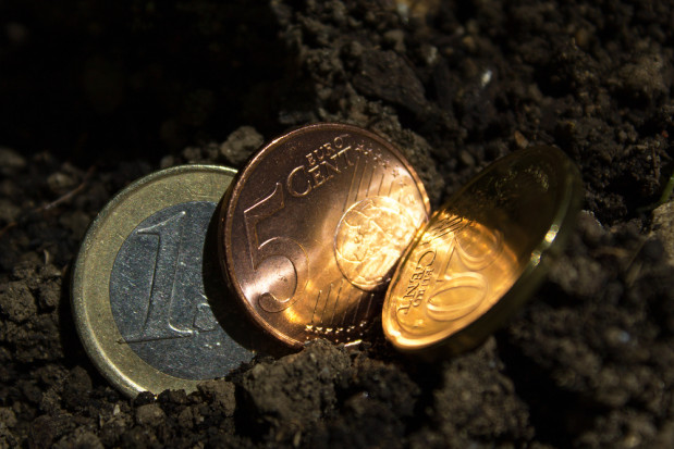 Do 27 kwietnia wnioski o dopłaty bezpośrednie za 2021 rok złożyło blisko 400 tys. rolników/ fot. shutterstock ARiMR: Wnioski o dopłaty bezpośrednie złożyło już 400 tys. rolników