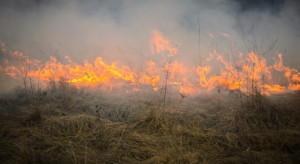 Śląskie: Od kwietnia strażacy gasili ponad 600 pożarów traw