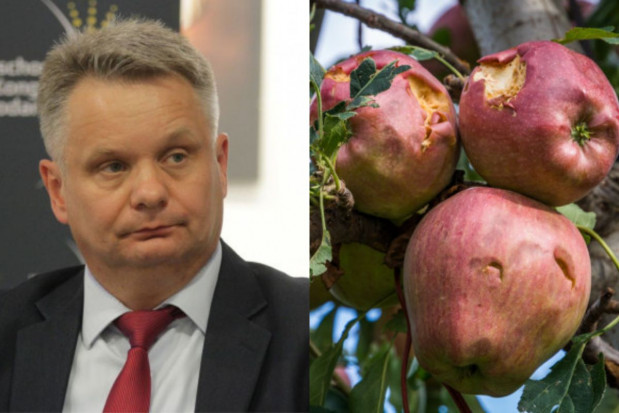 Mirosław Maliszewski ostro o ubezpieczeniach upraw od gradu w PZU; fot. shutterstock.com / PTWP 3 minuty... na ubezpieczenie upraw od gradu w PZU