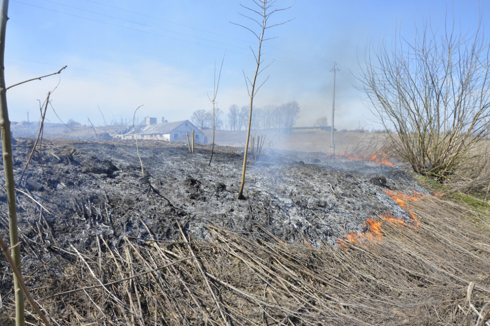 Małopolskie: Mężczyzna podpalił łąkę, nie zdążył uciec przed ogniem