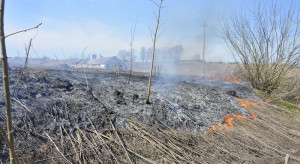 Małopolskie: Mężczyzna podpalił łąkę, nie zdążył uciec przed ogniem
