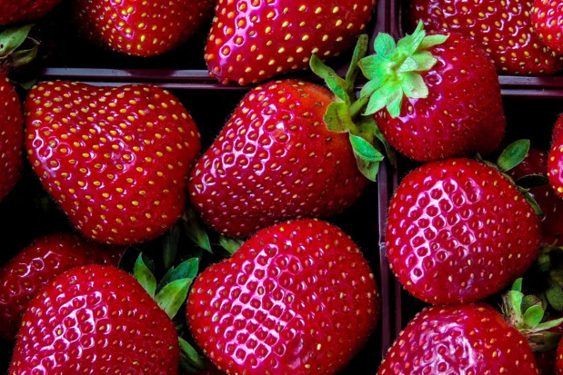 Lidl z promocją polskich truskawek z upraw szklarniowych; fot. unsplash.com Lidl: 28 zł za kilogram polskich truskawek