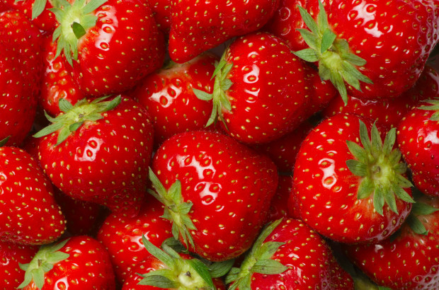 Zapowiedź wyższych cen truskawek; fot. shutterstock.com Wysokie ceny truskawek. Plantatorzy: tanio nie będzie