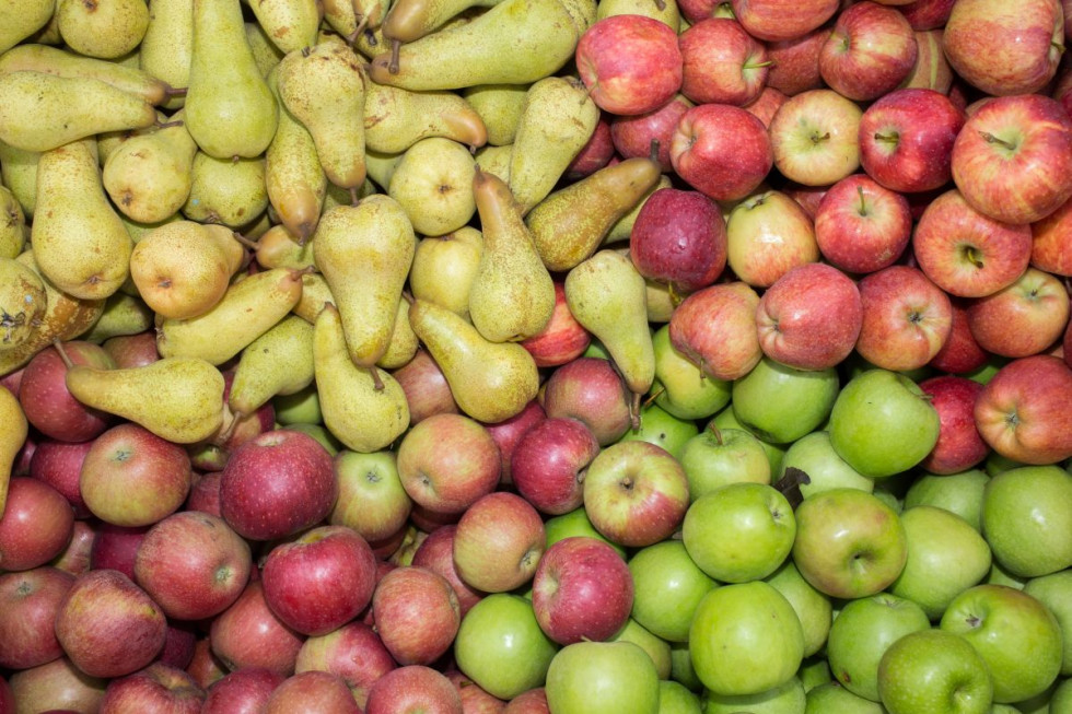 WAPA: Ile jabłek i gruszek w polskich oraz europejskich chłodniach?