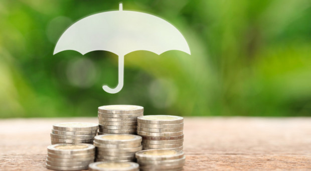 Limit środków na dopłaty do ubezpieczenia upraw zostanie zwiększony ?/fot. shutterstock.com Limit środków na dopłaty do ubezpieczenia upraw zostanie zwiększony?
