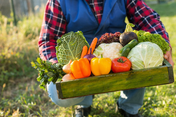 Jak powinna wyglądać korzystna dla rolnika umowa na dostawy produktów?/ fot. shutterstock.com Jak powinna wyglądać korzystna dla rolnika umowa na dostawy produktów?